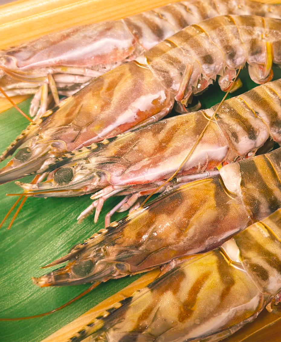 車海老(養殖)沖縄県産（5尾）の画像