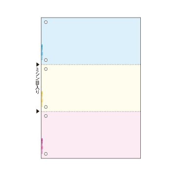 TANOSEEマルチプリンタ帳票(FSC森林認証紙) A4カラー 3面6穴 1セット(1000枚:500枚×2箱)