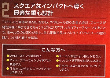 Ray TYPE R DRIVER　HP　DRIVERの画像