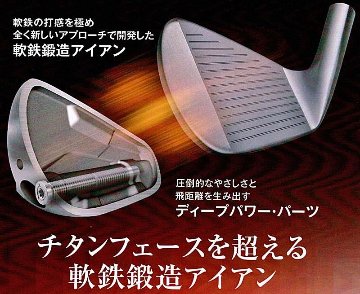 RomaRo　Ray TYPE R IRON　NS 950GH-S ６本セット(＃６～AW)の画像