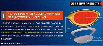 RomaRo　Ray TYPE R PLUS DRIVER SVヘッドの画像