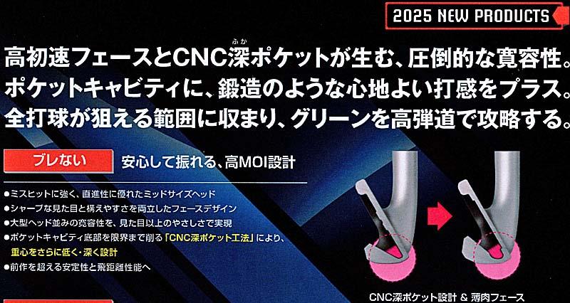 RomaRo Ray TYPE R PLUS IRON (＃６～PW)の画像