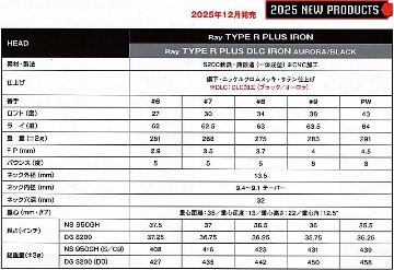 RomaRo Ray TYPE R PLUS IRON (＃６～PW)の画像