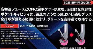 RomaRo Ray TYPE R PLUS IRON (＃６～PW)の画像