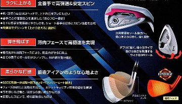 RomaRo Ray TYPE R PLUS IRON (＃６～PW)の画像