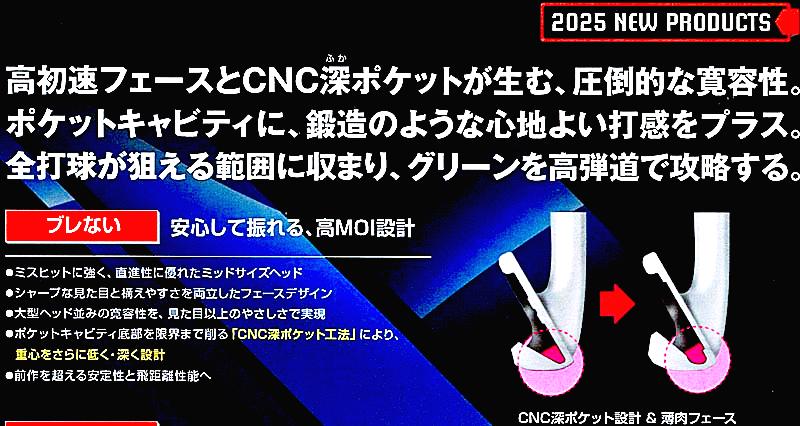 RomaRo Ray TYPE R PLUS IRON 装着シャフト(NS950GH／DG S200)の画像