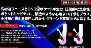 RomaRo Ray TYPE R PLUS IRON 装着シャフト(NS950GH／DG S200)の画像