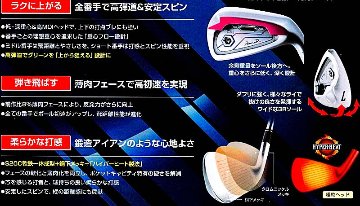 RomaRo Ray TYPE R PLUS IRON 装着シャフト(NS950GH／DG S200)の画像