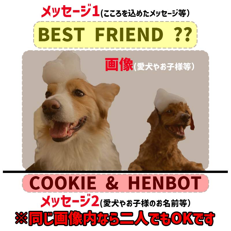 愛犬の名入れ＆写真プリント＆メッセージ うちの子Tシャツ フロント胸中央プリント 半袖Tシャツの画像