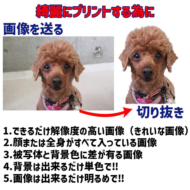 愛犬の名入れ＆写真プリント＆メッセージ うちの子Tシャツ フロント胸中央プリント 半袖Tシャツの画像