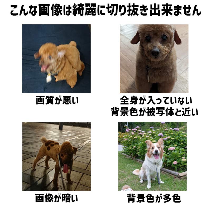 愛犬の名入れ＆写真プリント＆メッセージ うちの子Tシャツ フロント左胸プリント 半袖Tシャツの画像