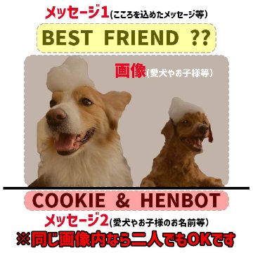 愛犬の名入れ＆写真プリント＆メッセージ うちの子Tシャツ フロント左胸プリント 半袖Tシャツの画像