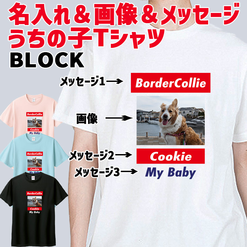 愛犬の名入れ＆写真プリント＆メッセージ うちの子Tシャツ BLOCKタイプ フロント中央プリント 半袖Tシャツの画像