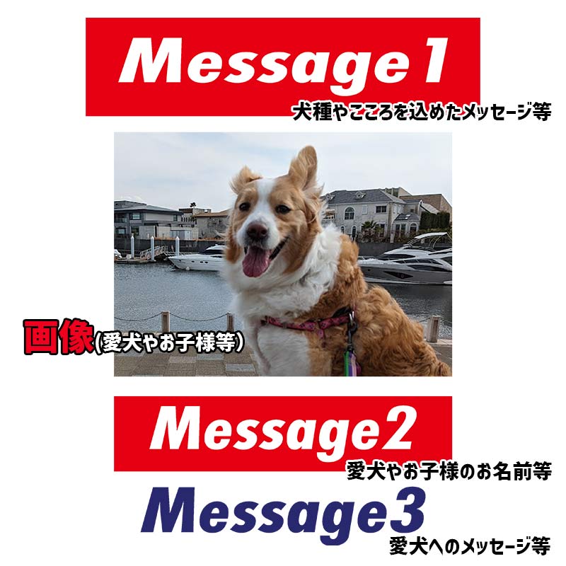 愛犬の名入れ＆写真プリント＆メッセージ うちの子Tシャツ BLOCKタイプ フロント中央プリント 半袖Tシャツの画像