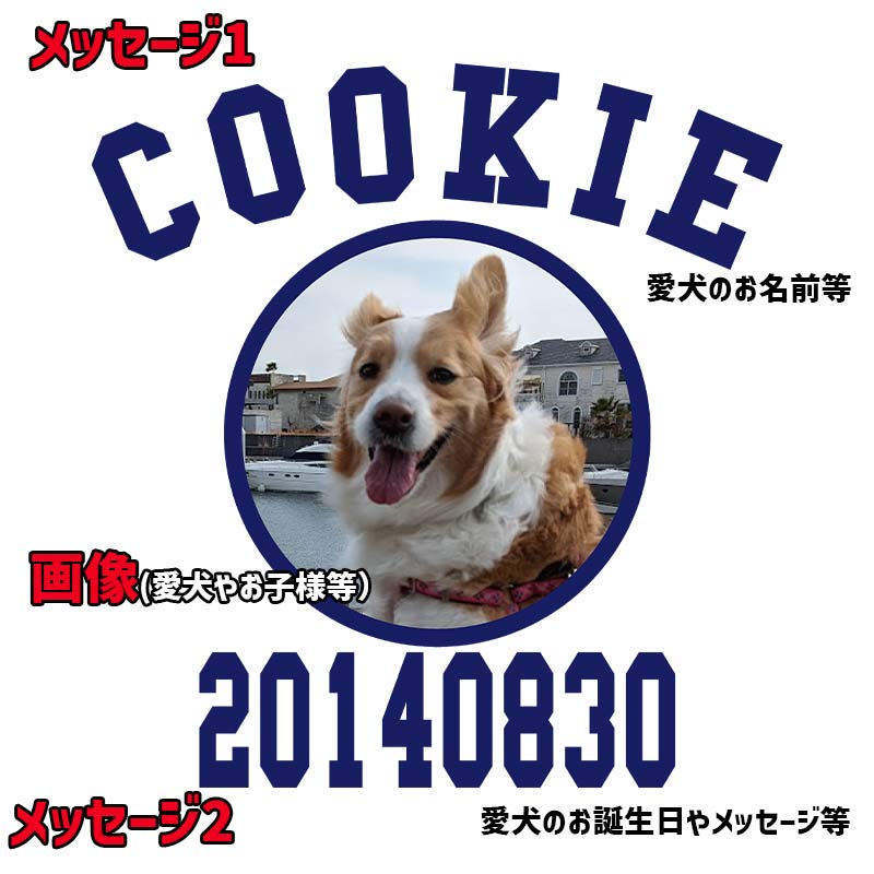 愛犬の名入れ＆写真プリント＆メッセージ うちの子Tシャツ カレッジ柄プリント 半袖Tシャツの画像