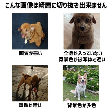 愛犬の名入れ＆写真プリント＆メッセージ うちの子Tシャツ カレッジ柄プリント 半袖Tシャツの画像