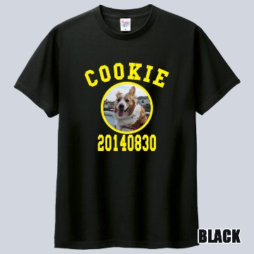 愛犬の名入れ＆写真プリント＆メッセージ うちの子Tシャツ カレッジ柄プリント 半袖Tシャツの画像