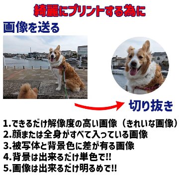 愛犬の名入れ＆写真プリント＆メッセージ うちの子Tシャツ カレッジ柄プリント 半袖Tシャツの画像