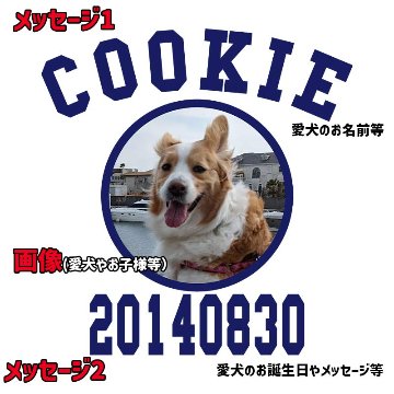 愛犬の名入れ＆写真プリント＆メッセージ うちの子Tシャツ カレッジ柄プリント 半袖Tシャツの画像