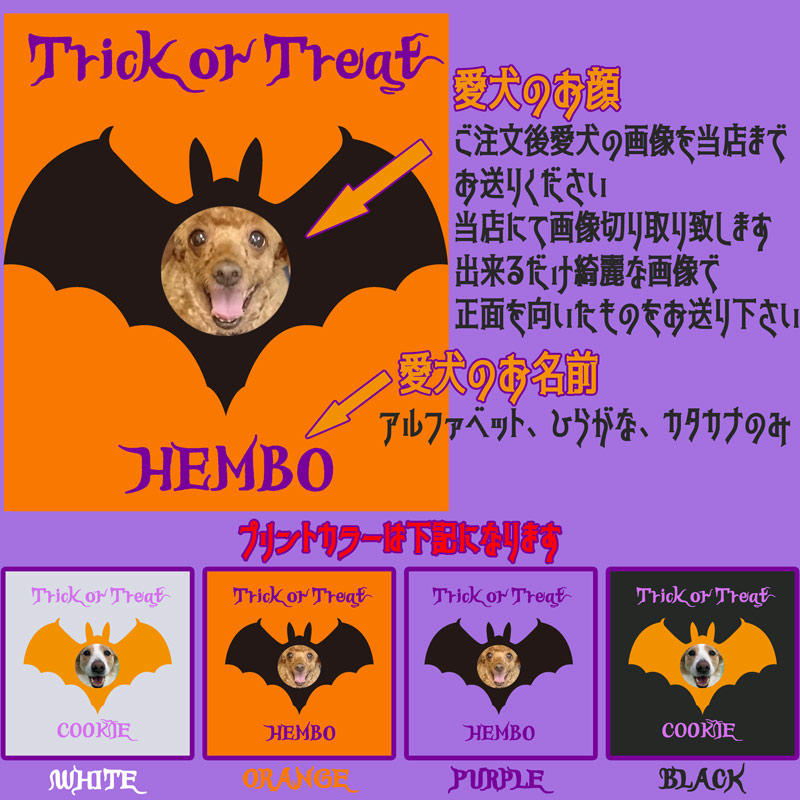 愛犬の名入れ＆写真プリント 【HALLOWEEN BATTY】ハロウィン　バット柄うちの子Tシャツ  5.6oz 半袖Tシャツの画像