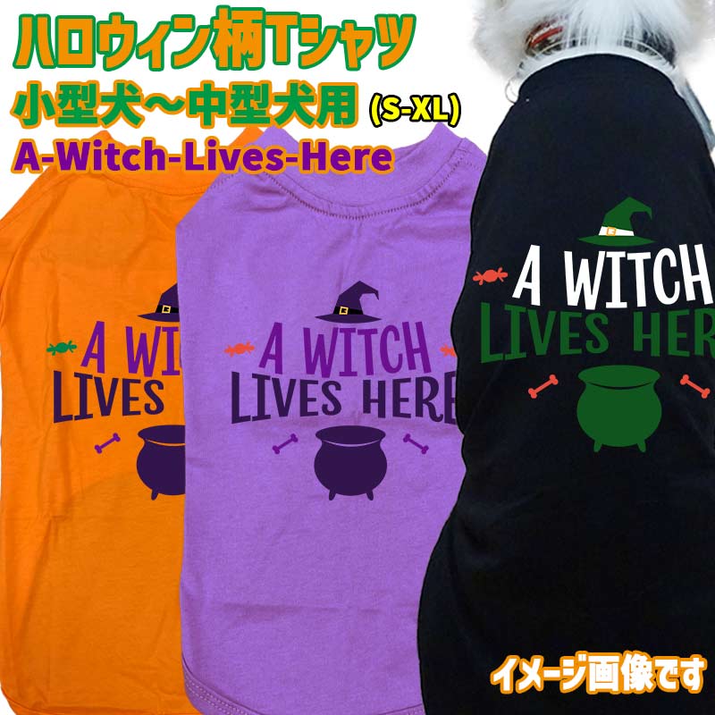 ハロウィン柄！ A-WITCH-LIVES-HERE コットン100％ 犬用Tシャツ 犬服 halloween ハロウィーン風ロゴ リンクコーデも出来ますの画像