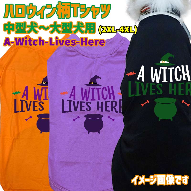 ハロウィン柄！ A-WITCH-LIVES-HERE コットン100％ 犬用Tシャツ 犬服 halloween ハロウィーン風ロゴ リンクコーデも出来ますの画像