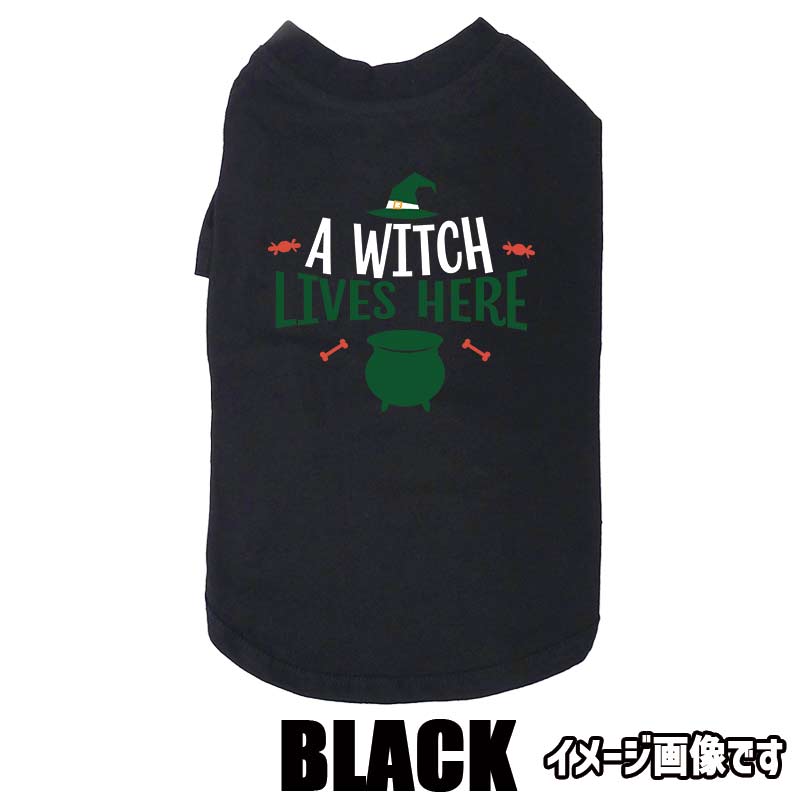 ハロウィン柄！ A-WITCH-LIVES-HERE コットン100％ 犬用Tシャツ 犬服 halloween ハロウィーン風ロゴ リンクコーデも出来ますの画像