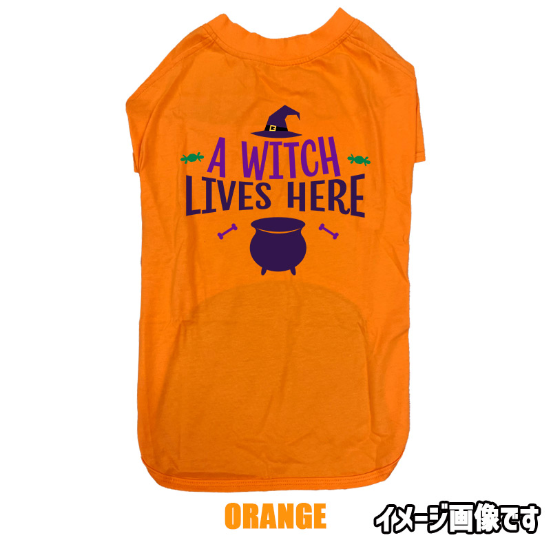 ハロウィン柄！ A-WITCH-LIVES-HERE コットン100％ 犬用Tシャツ 犬服 halloween ハロウィーン風ロゴ リンクコーデも出来ますの画像