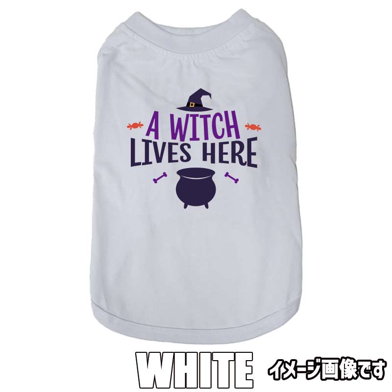 ハロウィン柄！ A-WITCH-LIVES-HERE コットン100％ 犬用Tシャツ 犬服 halloween ハロウィーン風ロゴ リンクコーデも出来ますの画像
