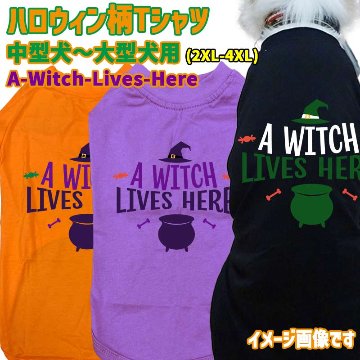 ハロウィン柄！ A-WITCH-LIVES-HERE コットン100％ 犬用Tシャツ 犬服 halloween ハロウィーン風ロゴ リンクコーデも出来ますの画像