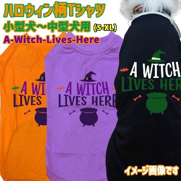 ハロウィン柄！ A-WITCH-LIVES-HERE コットン100％ 犬用Tシャツ 犬服 halloween ハロウィーン風ロゴ リンクコーデも出来ますの画像