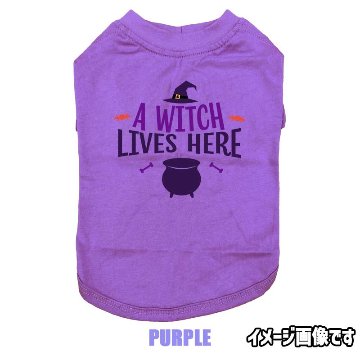 ハロウィン柄！ A-WITCH-LIVES-HERE コットン100％ 犬用Tシャツ 犬服 halloween ハロウィーン風ロゴ リンクコーデも出来ますの画像