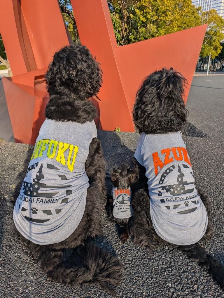 超大型犬用タンクトップ 犬服 セントバーナード、グレートピレニーズ、バーニーズマウンテン等 お好きなプリントをお入れしますの画像