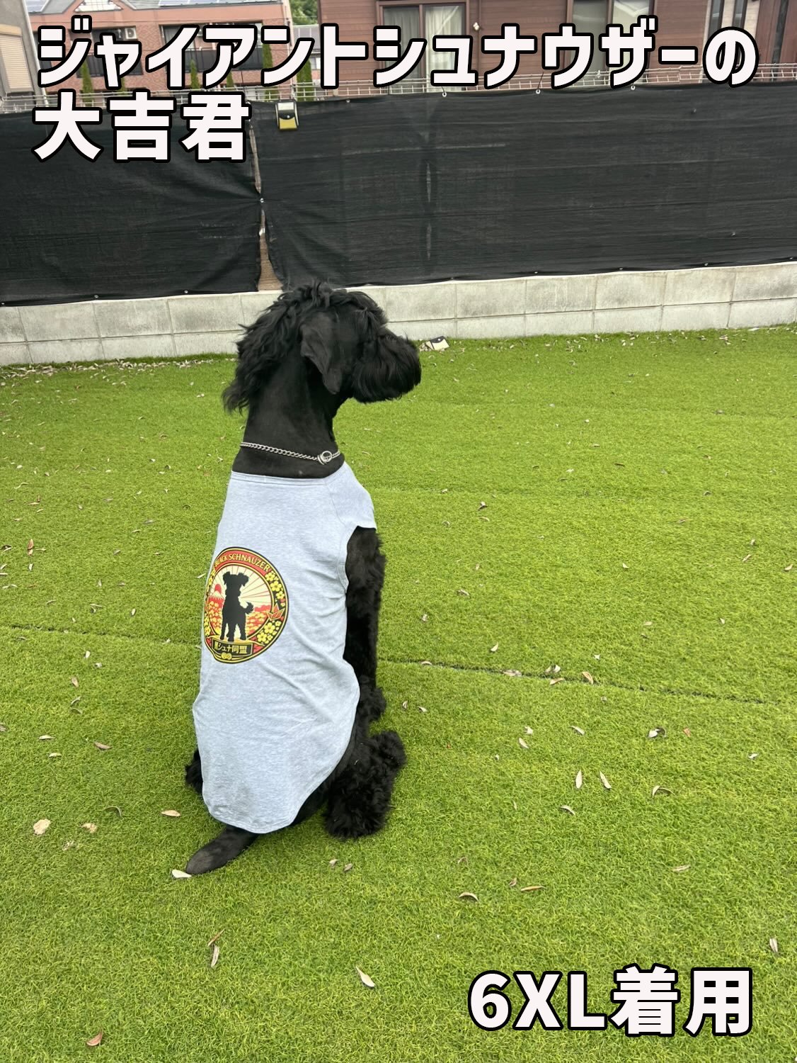 超大型犬用タンクトップ 犬服 セントバーナード、グレートピレニーズ、バーニーズマウンテン等 お好きなプリントをお入れしますの画像