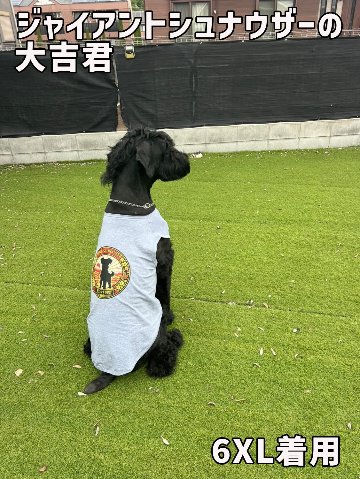 超大型犬用タンクトップ 犬服 セントバーナード、グレートピレニーズ、バーニーズマウンテン等 お好きなプリントをお入れしますの画像