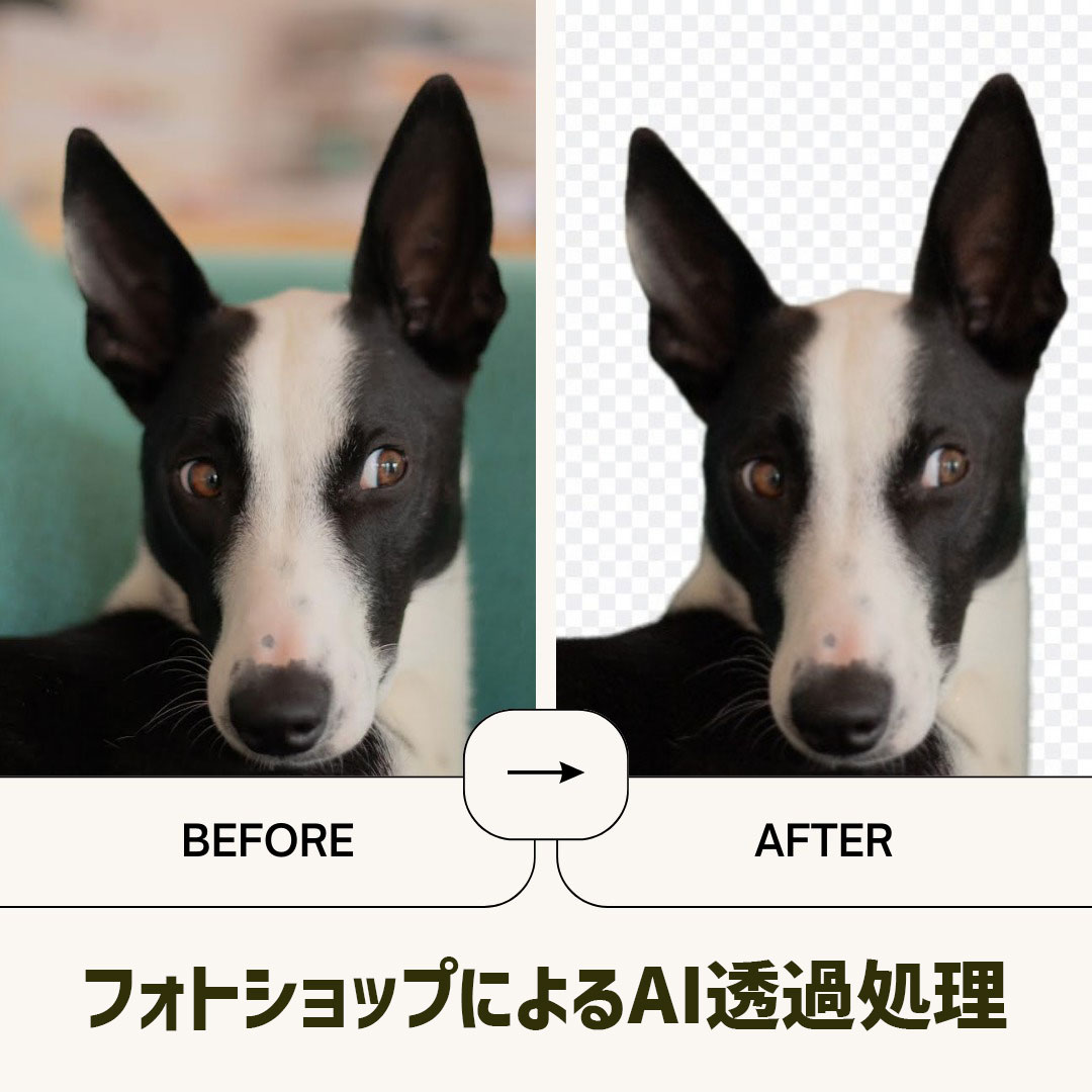 AI背景透過サービスの画像