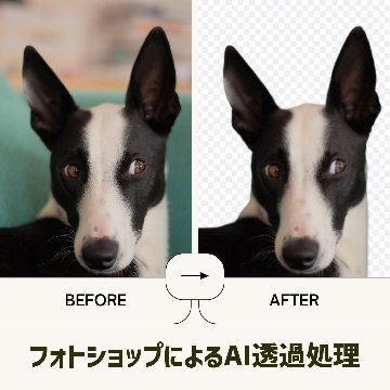 AI背景透過サービスの画像