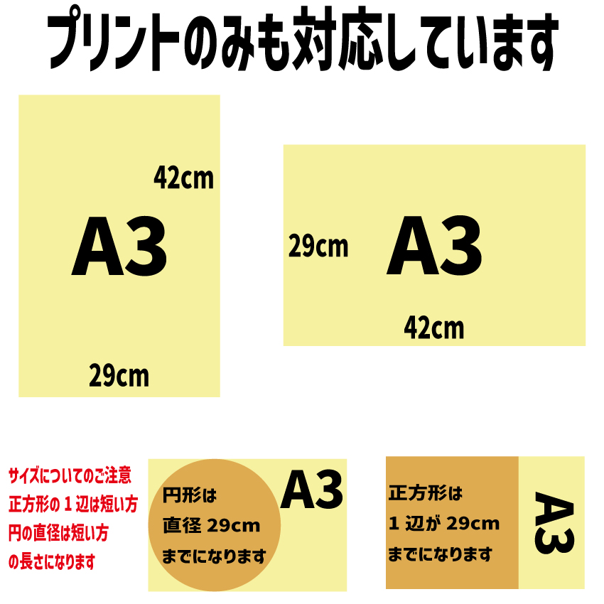 持ち込み商品用DTFプリント A3サイズ　29x42cmの画像