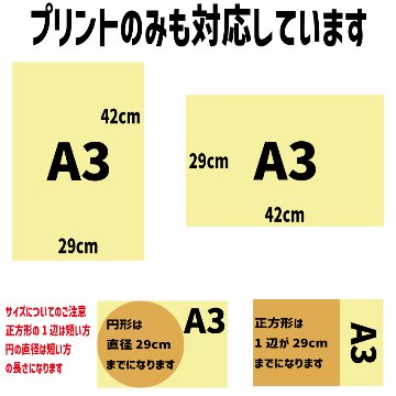 持ち込み商品用DTFプリント A3サイズ　29x42cmの画像
