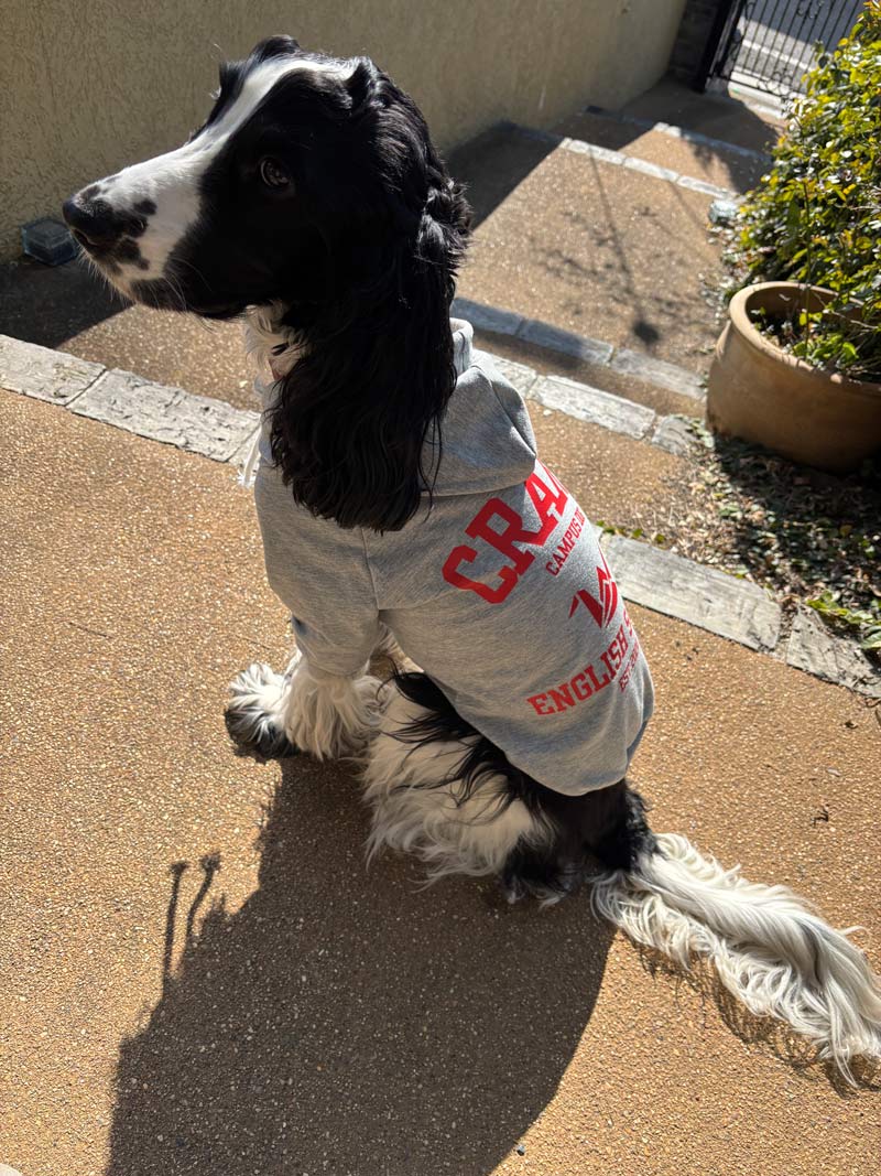 犬用Tパーカー コットンxポリウレタン　Tシャツ素材のパーカー　伸縮性あります　犬服  小型犬、中型犬 お好きなプリントをお入れしますの画像