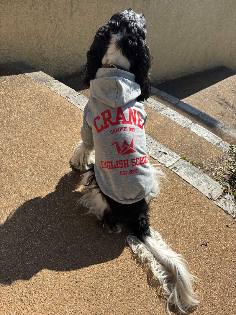犬用Tパーカー コットンxポリウレタン　Tシャツ素材のパーカー　伸縮性あります　犬服  小型犬、中型犬 お好きなプリントをお入れしますの画像