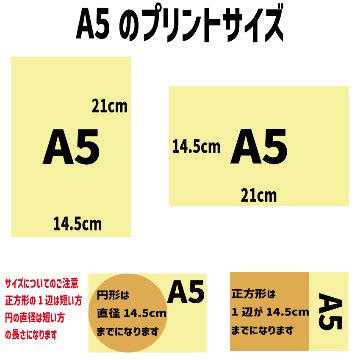 犬用Tパーカー コットンxポリウレタン　Tシャツ素材のパーカー　伸縮性あります　犬服  小型犬、中型犬 お好きなプリントをお入れしますの画像