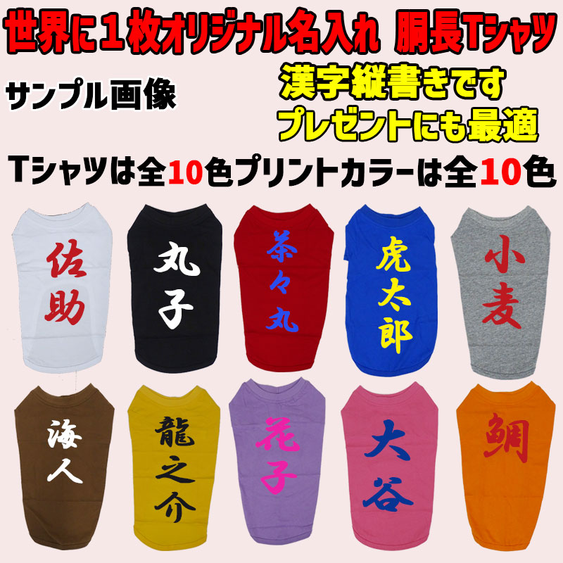 愛犬の名入れが出来る 漢字 縦書きタイプ ダックス コーギー用 Tシャツ 名前入り犬服 小型犬〜中型犬 プリントカラーは10色　お名前だけで作れますの画像