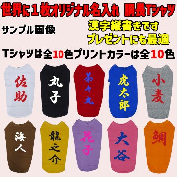 愛犬の名入れが出来る 漢字 縦書きタイプ ダックス コーギー用 Tシャツ 名前入り犬服 小型犬〜中型犬 プリントカラーは10色　お名前だけで作れますの画像