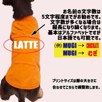愛犬の名入れが出来る ローマ字アルファベット横書きタイプ ダックス コーギー用 Tシャツ 名前入り犬服 小型犬〜中型犬 プリントカラーは10色　お名前だけで作れますの画像