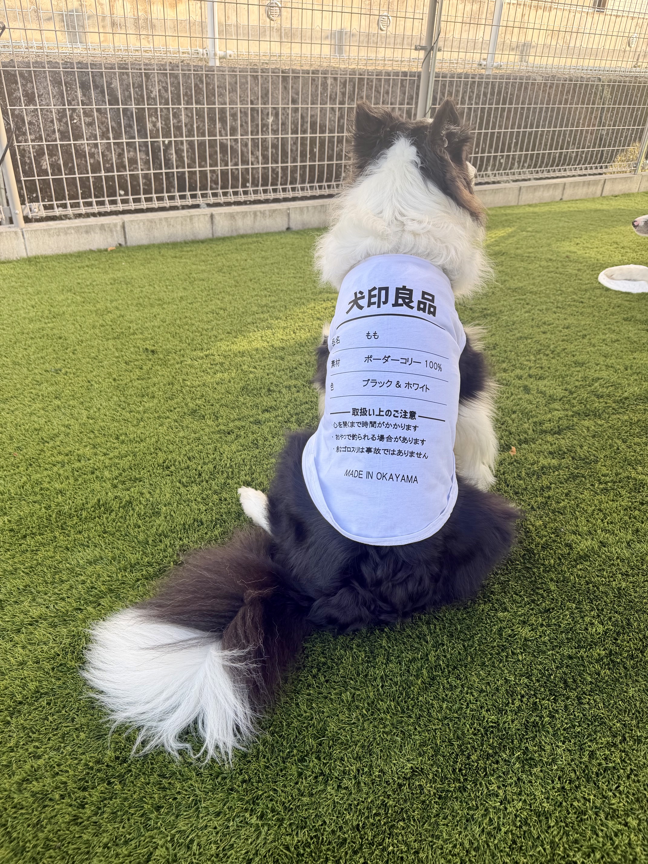 愛犬の名入れが出来る 犬印良品！品質表示風名入れ　犬用 小型犬～大型犬まで(25kg位) コットン/ポリエステルタンクトップ 　名前入り犬服 お好きな犬服やTシャツ等にプリント出来ますの画像