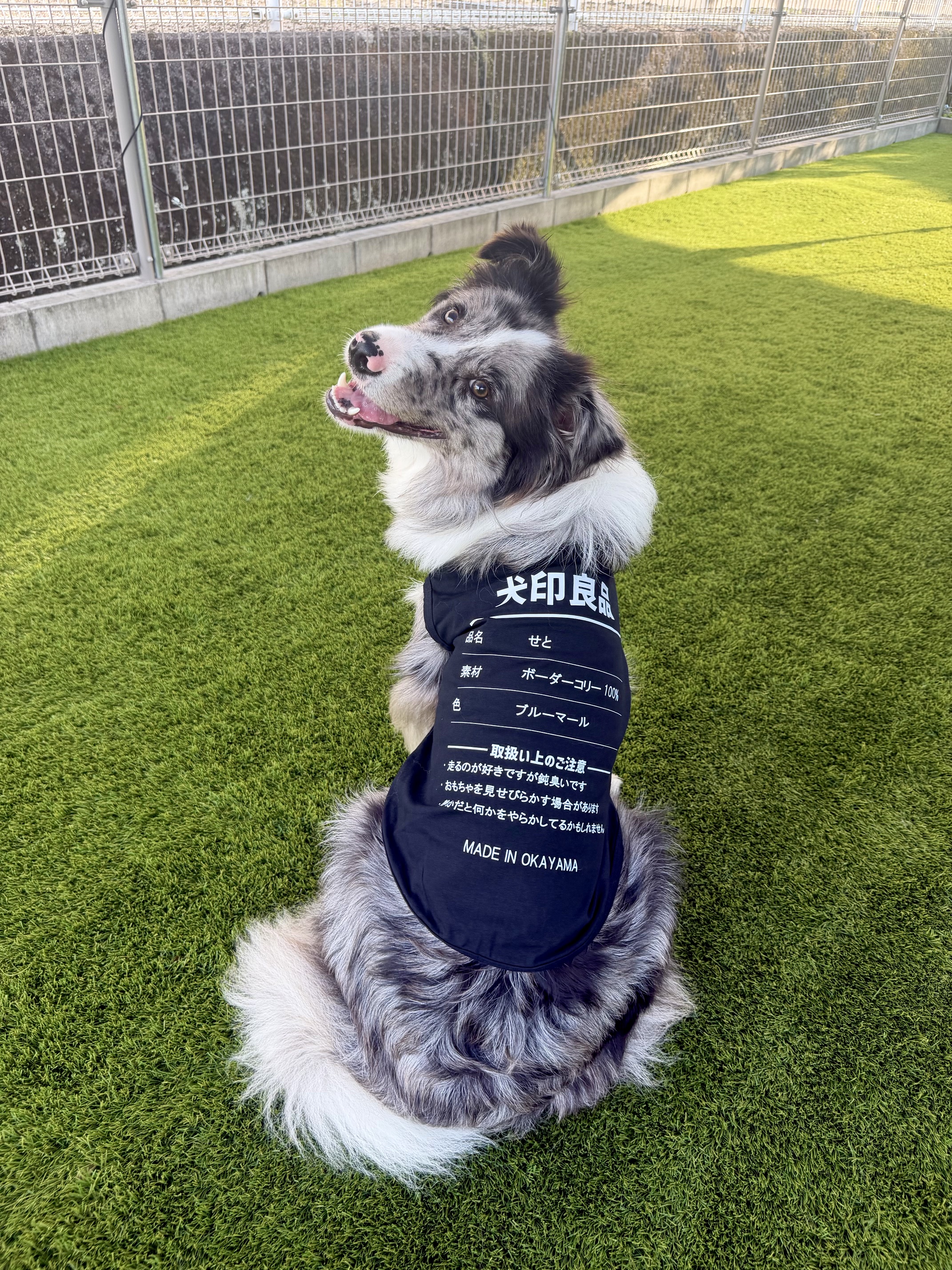 愛犬の名入れが出来る 犬印良品！品質表示風名入れ　犬用 小型犬～大型犬まで(25kg位) コットン/ポリエステルタンクトップ 　名前入り犬服 お好きな犬服やTシャツ等にプリント出来ますの画像
