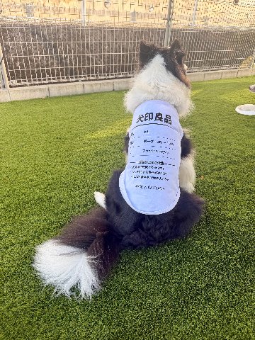 愛犬の名入れが出来る 犬印良品！品質表示風名入れ　犬用 小型犬～大型犬まで(25kg位) コットン/ポリエステルタンクトップ 　名前入り犬服 お好きな犬服やTシャツ等にプリント出来ますの画像