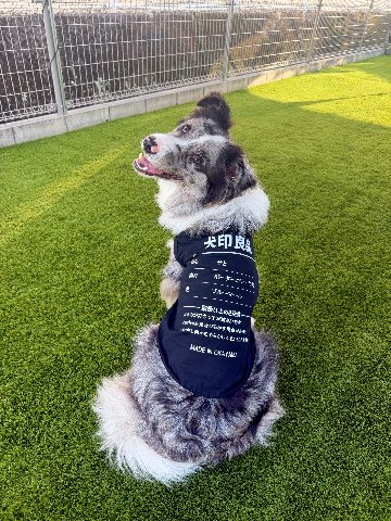 愛犬の名入れが出来る 犬印良品！品質表示風名入れ　犬用 小型犬～大型犬まで(25kg位) コットン/ポリエステルタンクトップ 　名前入り犬服 お好きな犬服やTシャツ等にプリント出来ますの画像