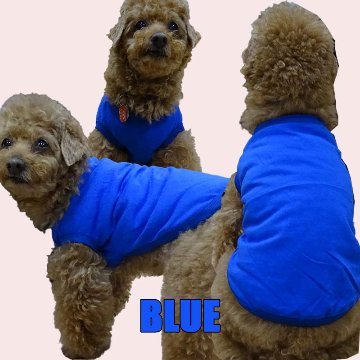 愛犬の名入れが出来る！うちの子CAFE！イヌバ？犬場コーヒー？CAFE風名入れ　犬用コットン/ポリエステルタンクトップ  小型犬～大型犬まで(25kg位) 　名前入り犬服 ドッグウェアの画像